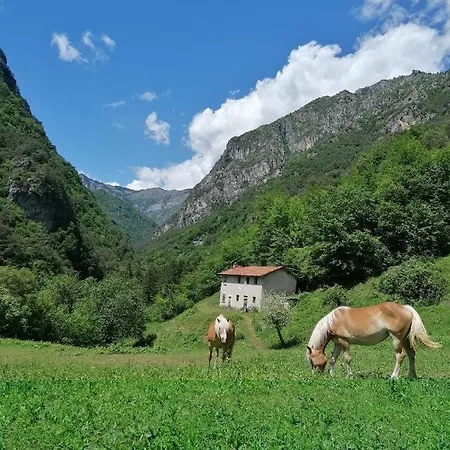Agriturismo La Casina Di Nonno Bigi Tremosine